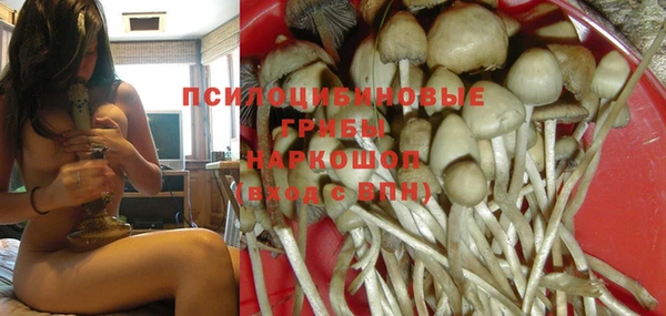 стафф Абинск