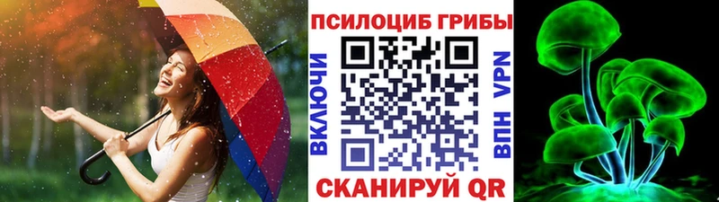 Галлюциногенные грибы GOLDEN TEACHER  где купить   Козловка 